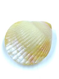 Hand-blown Iridescent Glass Seashell Paperweight