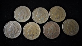 7 U.S. Indian Head Pennies, 1901-1907