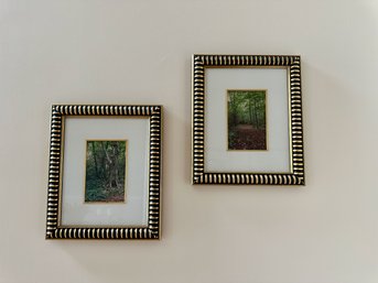 Pair Of Nicely Framed Woodland Photographs