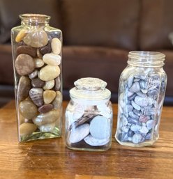 Three Beautiful Decorative Clear Glass Sea Shells In Different Sizes Of Glass Containers. LH/LR