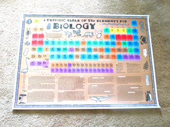 Biology Poster By Robert Orr