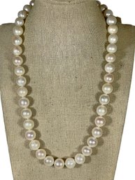 Genuine Large Cultured Pearl Sterling Silver Necklace 20'