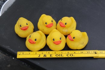 6 Rubber Ducks