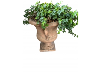 Terra Cotta Planter