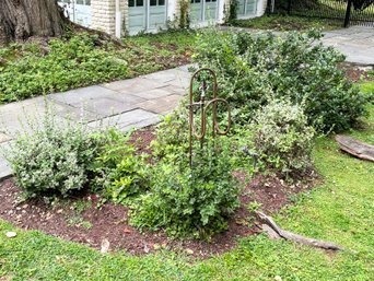 A Bed Of Outdoor Shrubbery