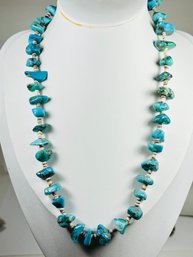 VINTAGE NATIVE AMERICAN HEISHI SHELL AND TURQUOISE NUGGET NECKLACE