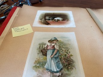 Antique Book Full Of Antique Cards  1893-1894