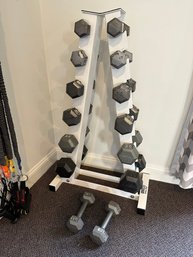Parabody Serious Steal Dumb Bell Shelf With Dumb Bell Set