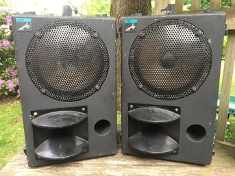 Large Pair Of Fender 2821 PA Studio Monitor Speakers