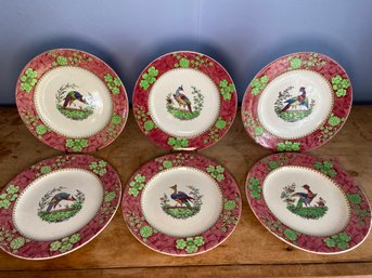 6 Spode Copeland Pheasant Dinner Plates 10.5' No Chips