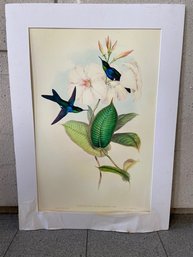 Unframed Hummingbird And Floral Art Piece