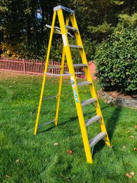 KELLER 8FT Step Ladder