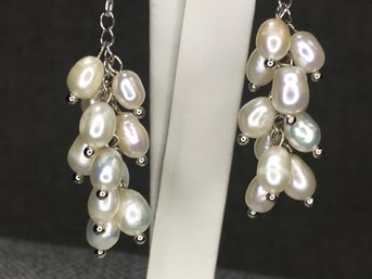 Fabulous Brand New Genuine Cultured Seed Pearl Earrings With Sterling Silver Mounts - Very Pretty Earrings