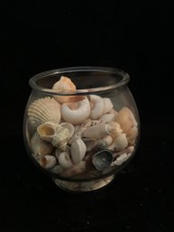 Glass Bowl Of Shells
