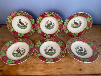 6 Spode Copeland Pheasant Soup Bowls 9' No Chips