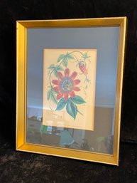 Framed Signed Passion Flower Artwork Print