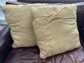 Geometric Throw Pillows