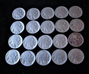 20 U.S. Buffalo Nickels