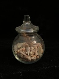 Small Glass Jar Of Shells