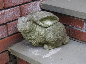 Look It's Thumper The Concrete Garden Bunny!