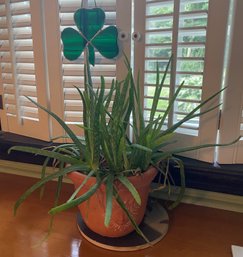 Aloe Plant And Clover Stained Glass