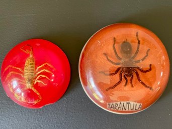 Vintage Tarantula & Scorpion Paperweights In Acrylic
