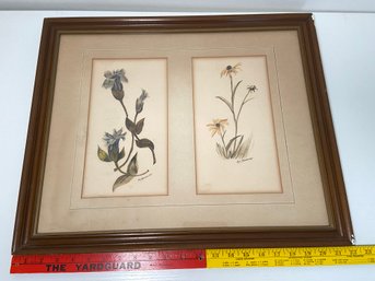 Original Botanical Watercolor Paintings Signed A.L. Baseman? 1955 22x18 Matted Framed Glass