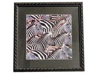 Framed Photo Of A Zebra Herd