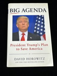 Big Agenda : President Trump's Plan To Save America By David Horowitz