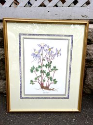 A Sharon Morris Kincheloe Print - Blue Columbine