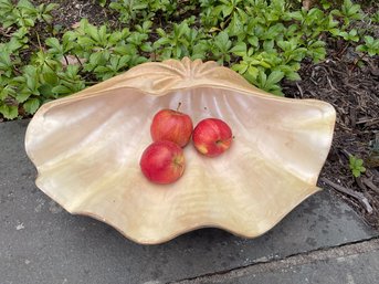 Large Faux Clam Shell Decor