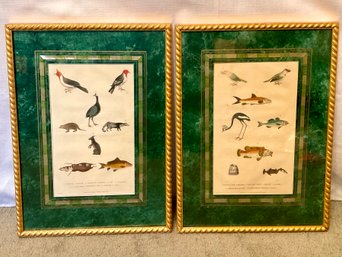 Pair Of 18th Century Bird, Fish & Mammal Handcolored Engravings