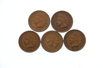 5 Indian Head Penny Cent Coin