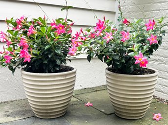 A Pair Of Cast Acrylic Outdoor Planters With Live Plants