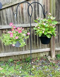 A Wrought Iron Shepherd's Hook And Live Plants