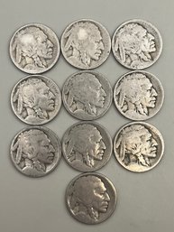 10 Beautiful Unknown Dates Buffalo Nickels