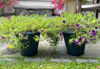 A Pair Of Cast Acrylic Planters With Live Plants