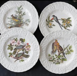 Audubon's Birds Of America Natural History Plates