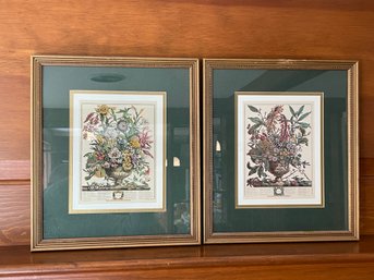 Pair Of Framed Botanical Prints.