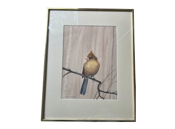 Framed  Watercolor - Cardinal - John Stewart