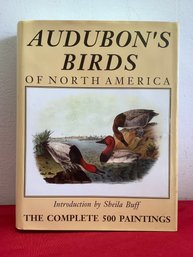 Audubon's Birds Book #53?