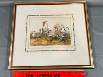 'silver Spangled Hamburghs' Artwork By Harrison Weir Printed By Leighton Brothers 15x13 Matted Framed Glass