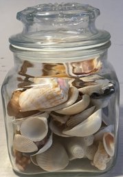 Gorgeous Jar Of Seashells