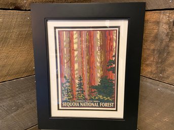 Framed Print 'Sequoia National Park'