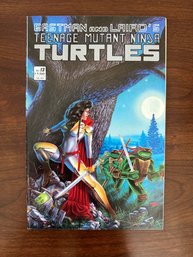 (Mirage Studios) Teenage Mutant Ninja Turtles #13 First Print Wrap Around Cover