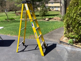 Werner 6 Foot Ladder