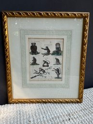 Antique Bookplate Of Monkeys In Gilt Vintage Frame