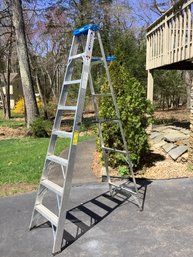 Werner 8 Foot Ladder