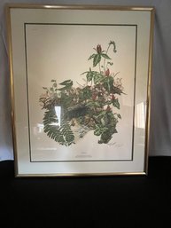 Botanist Illustrator Maryrose Wampler - Trillium