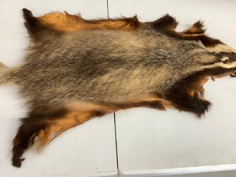 Beaver Pelt